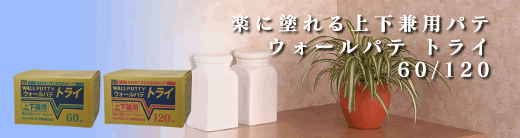 トライイメージ画像