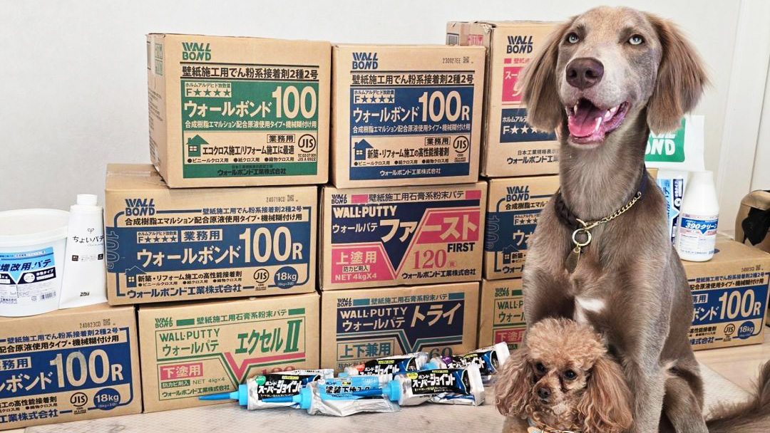 メインビジュアル