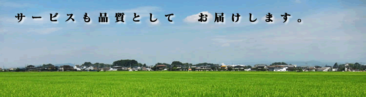 更新情報イメージ画像